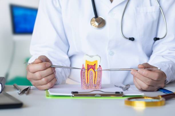 Best Urgent Dental Care for Toothaches in Lloyd Harbor, NY